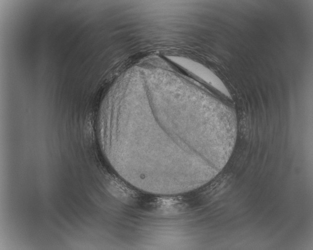 X0000062170662200512301646
