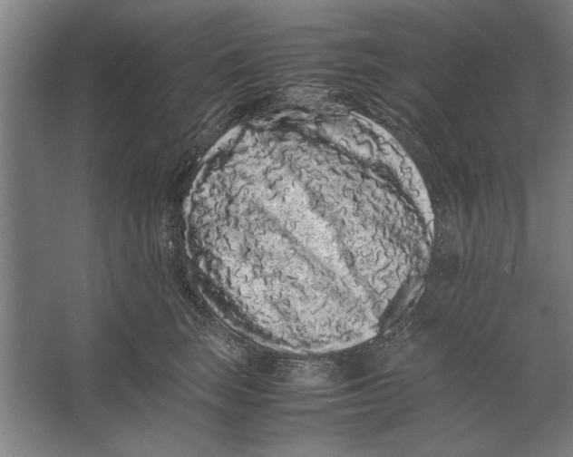 X0000062170663200512301647