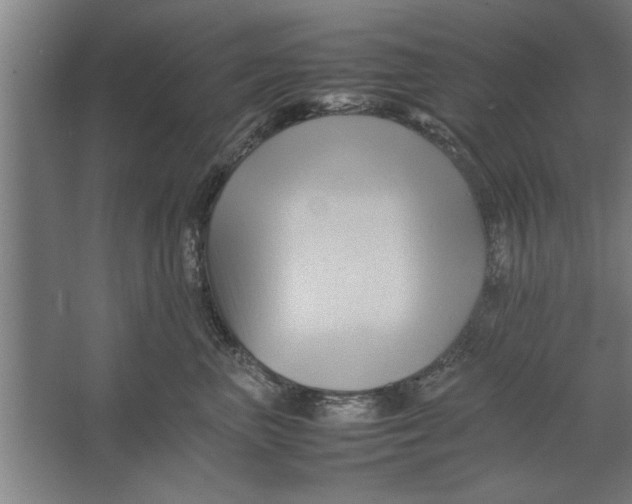 X0000062170667200512301647