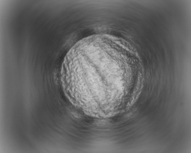 X0000062170671200512301647