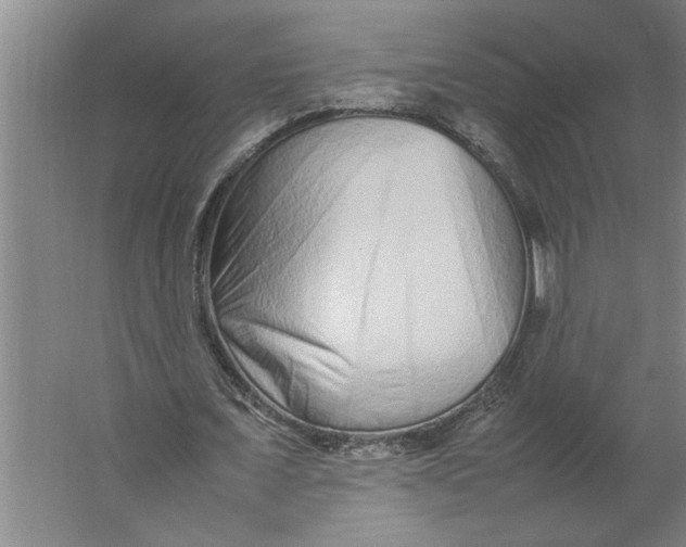X0000062170675200512301646