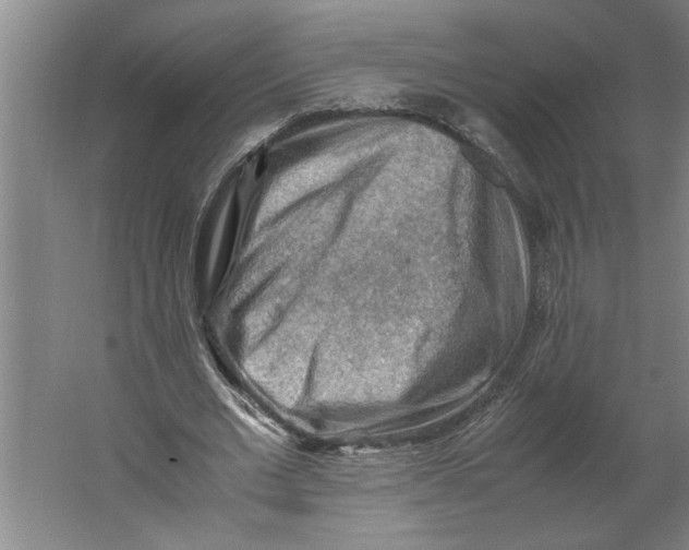 X0000062170677200512301646