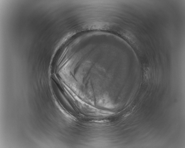 X0000062170678200512301646