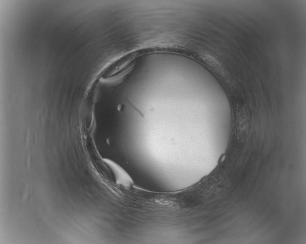 X0000062170680200512301646