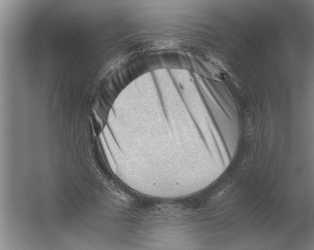 X0000062170681200512301646