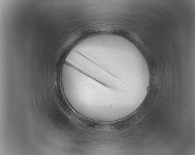 X0000062170683200512301646