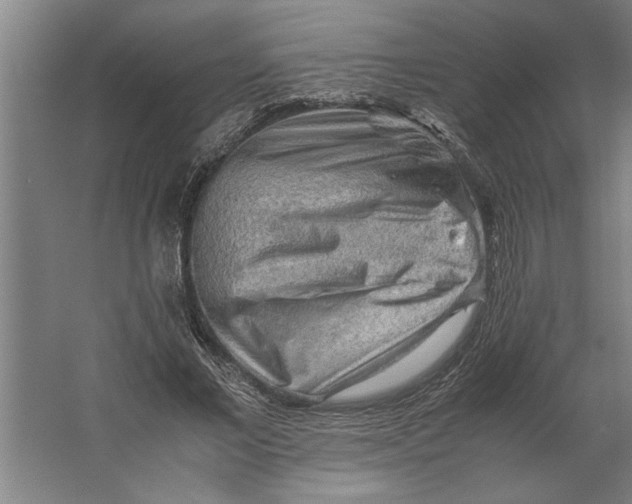 X0000062170685200512301646