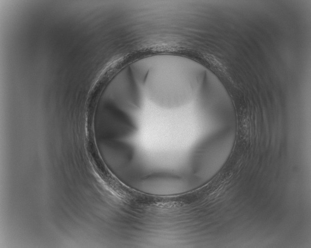X0000062170686200512301646