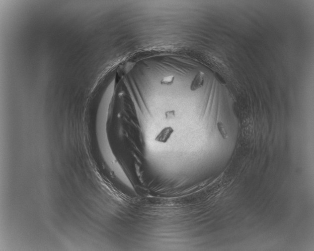 X0000062170688200512301646