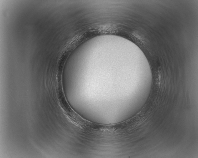 X0000062170690200512301646
