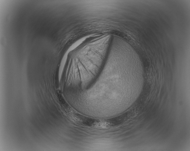 X0000062170695200512301645