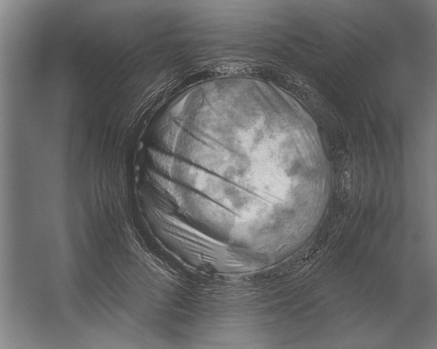 X0000062170696200512301645