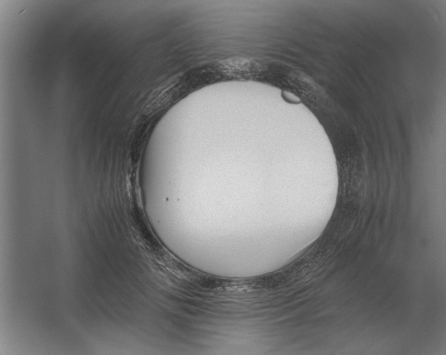 X0000062170702200512301645