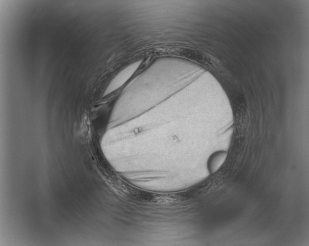 X0000062170703200512301645