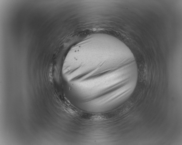 X0000062170704200512301645