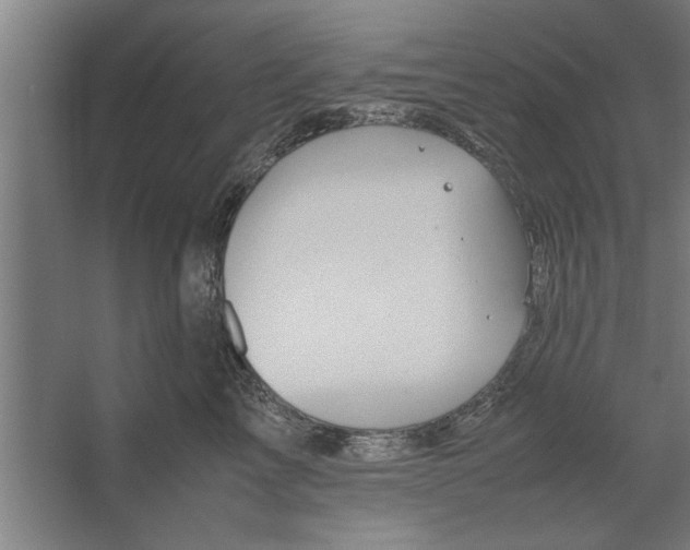 X0000062170713200512301645