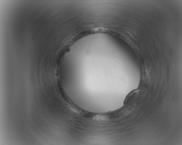 X0000062170714200512301645