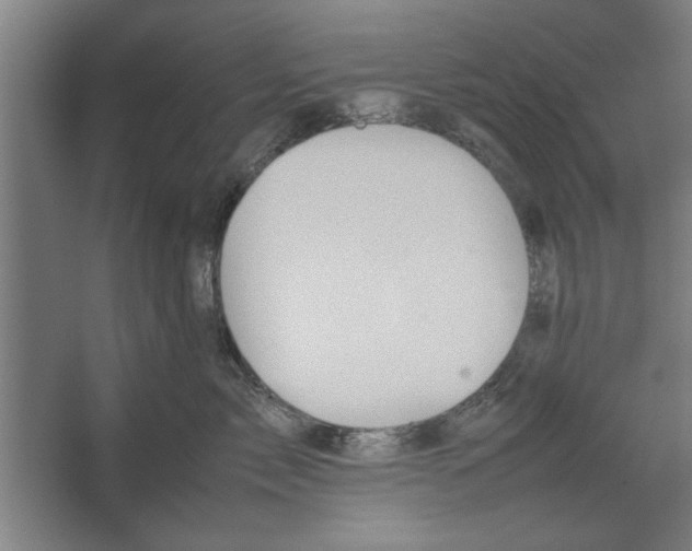 X0000062170717200512301645