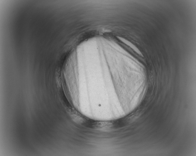 X0000062170719200512301645