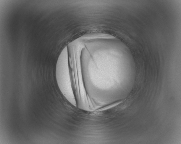 X0000062170720200512301645
