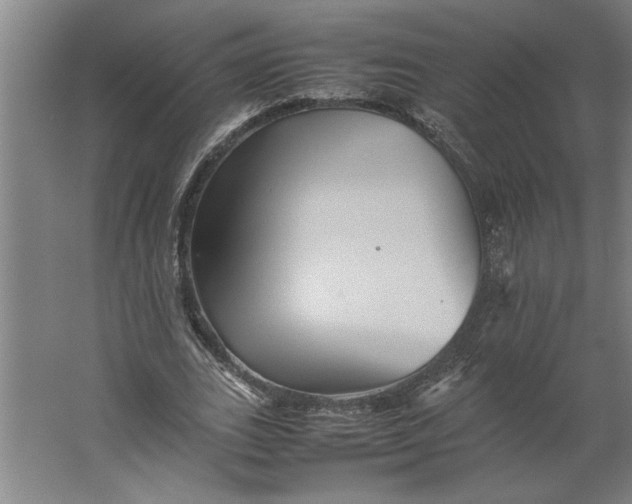 X0000062170727200512301644