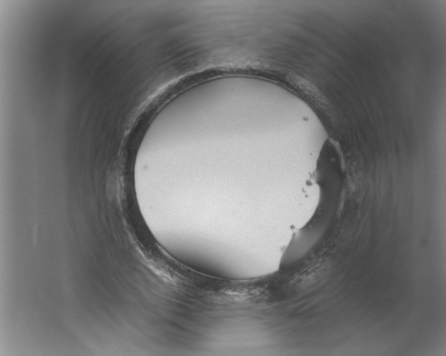 X0000062170728200512301644