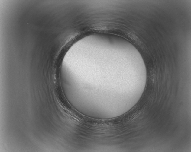 X0000062170731200512301644