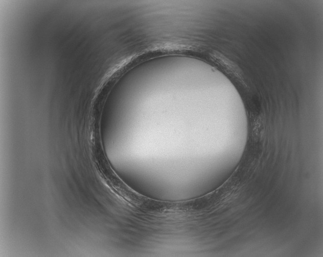 X0000062170732200512301644