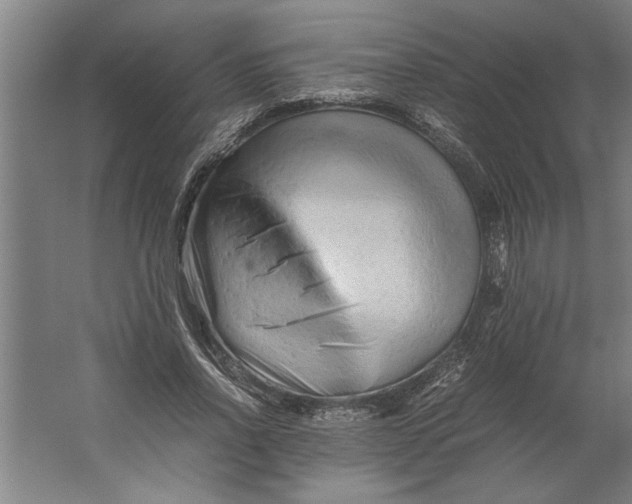 X0000062170734200512301644