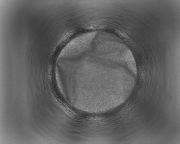 X0000062170735200512301644