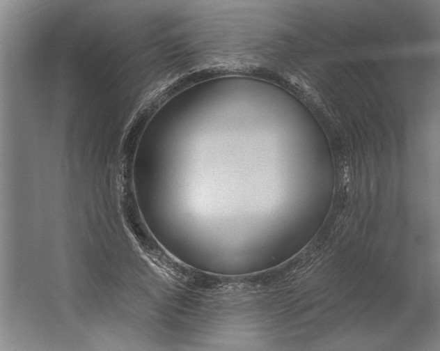 X0000062170736200512301645