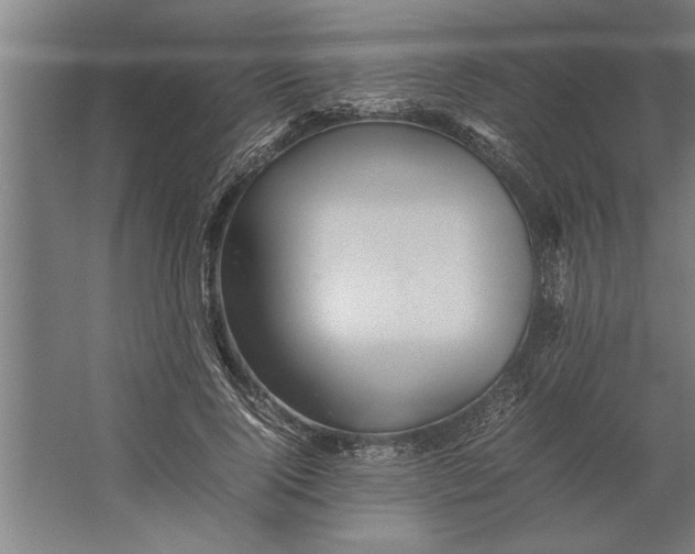 X0000062170740200512301645