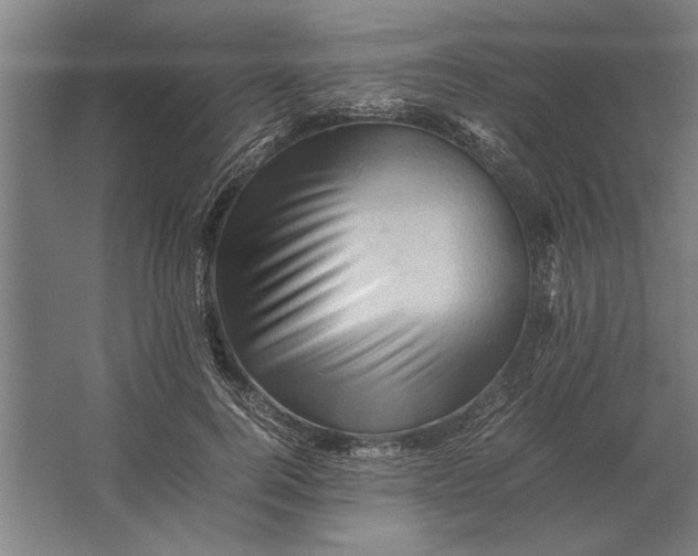 X0000062170744200512301645