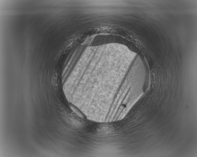 X0000062170750200512301645