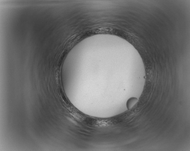 X0000062170753200512301645