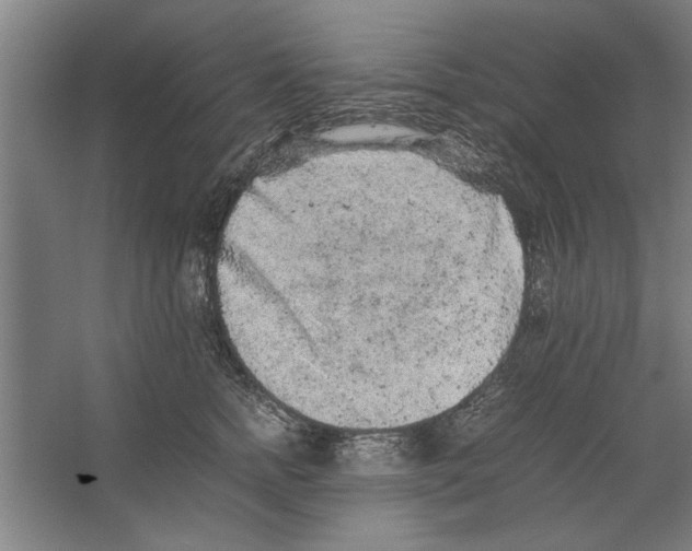 X0000062170758200512301645