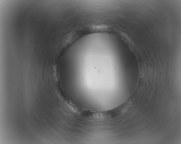 X0000062170764200512301645