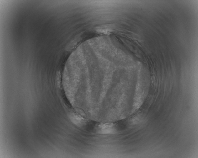 X0000062170767200512301645
