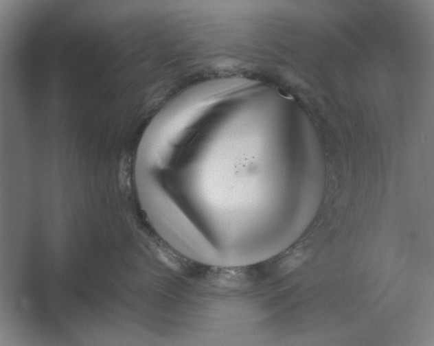 X0000062170768200512301645