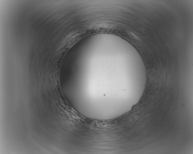 X0000062170774200512301644