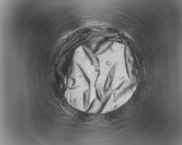 X0000062170775200512301644