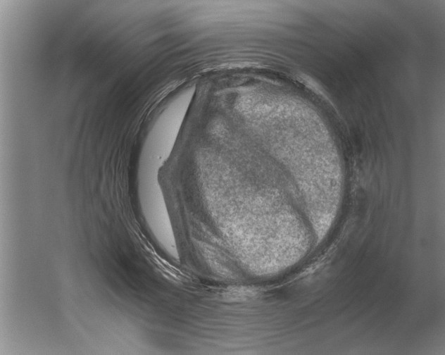 X0000062170777200512301644