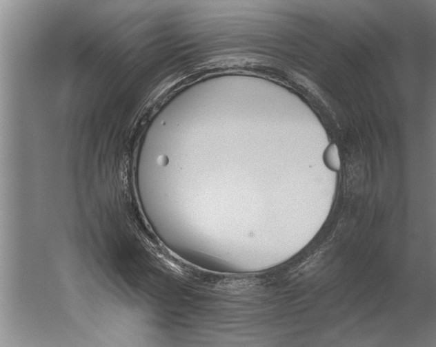 X0000062170778200512301644