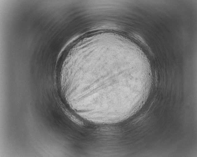 X0000062170780200512301644