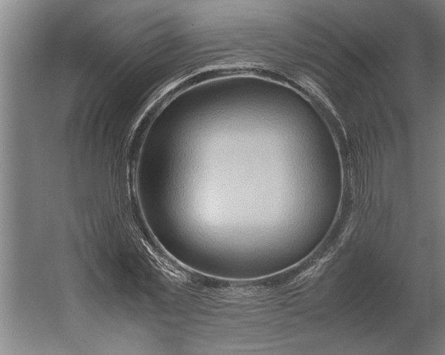 X0000062170781200512301644