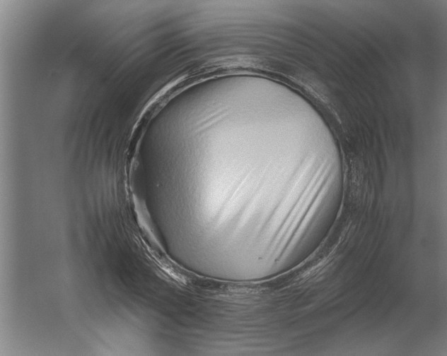X0000062170782200512301644