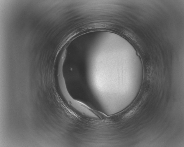 X0000062170786200512301644