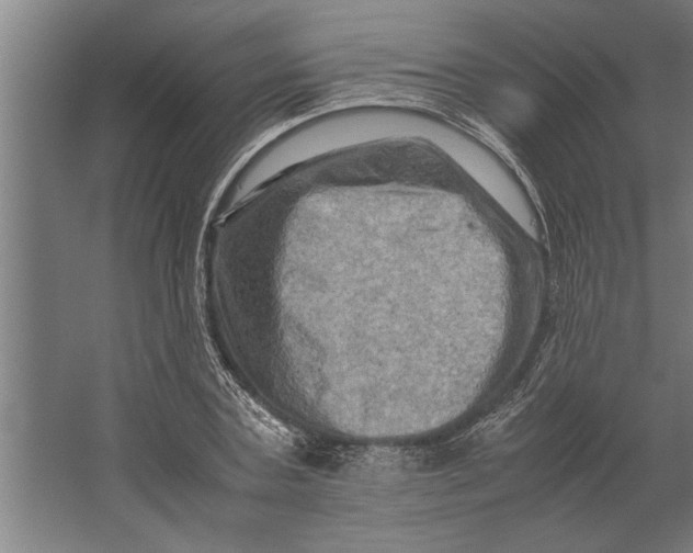 X0000062170787200512301644