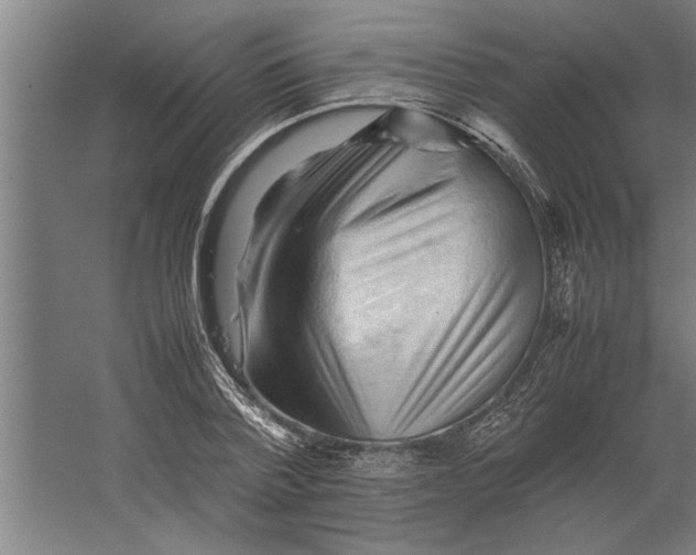 X0000062170788200512301644