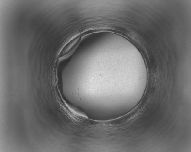 X0000062170789200512301644